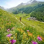 Lognan 6 Centre Mont Blanc * שאמוני